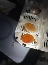 Suga & Spice