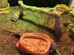 Suga & Spice
